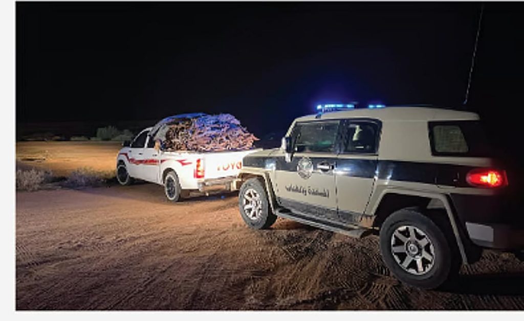 ajel2F2026 01 022Flmfgmgo82Fajel2025 11 19ysbct13aD8A8D8ADD988D8B2D8AAD987 D8ADD8