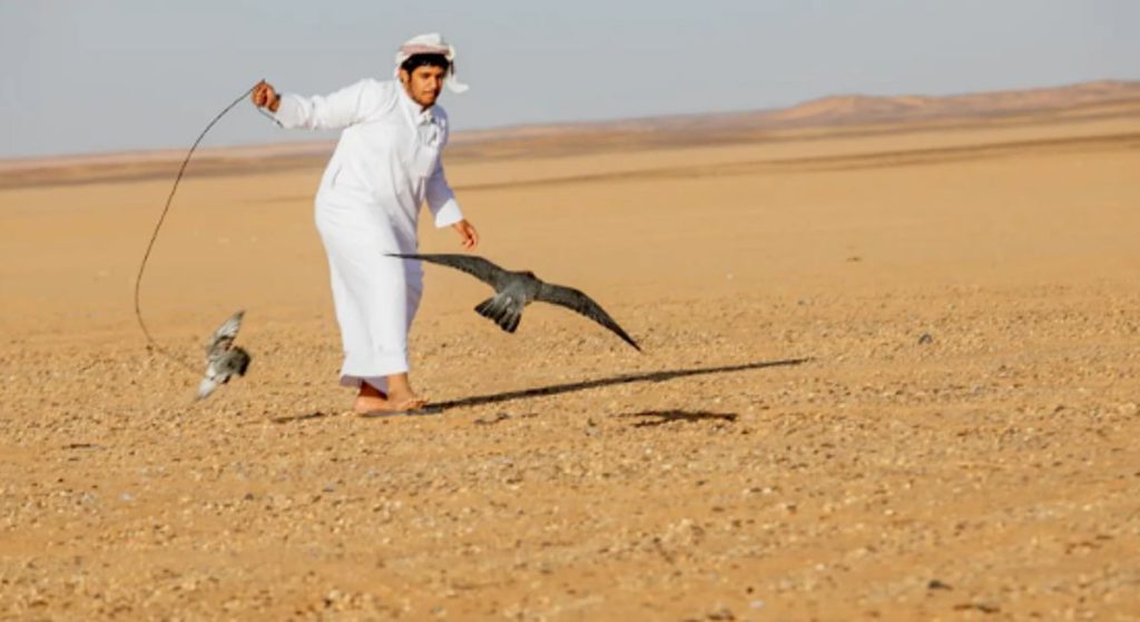 ajel2F2026 01 032F0zksycnh2FCapture