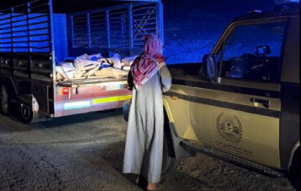 ضبط مخالف لنظام البيئة لنقله حطبًا محليًا بمحمية الأمير محمد بن سلمان الملكية ajel2F2026 01 042Fa7lnlv0p2FCapture