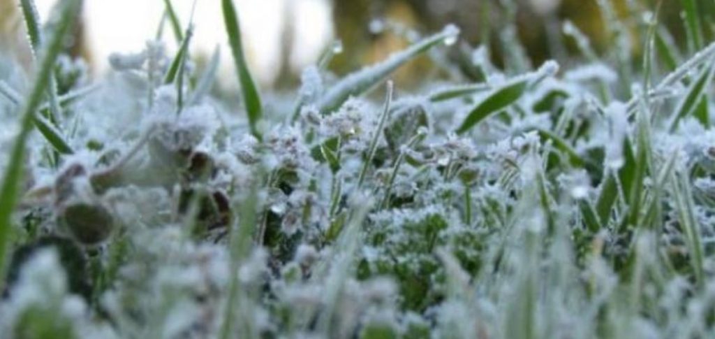 ajel2F2026 01 042Fxw9tb1fp2FD8B5D982D98AD8B9 D8AED8B7D8B1