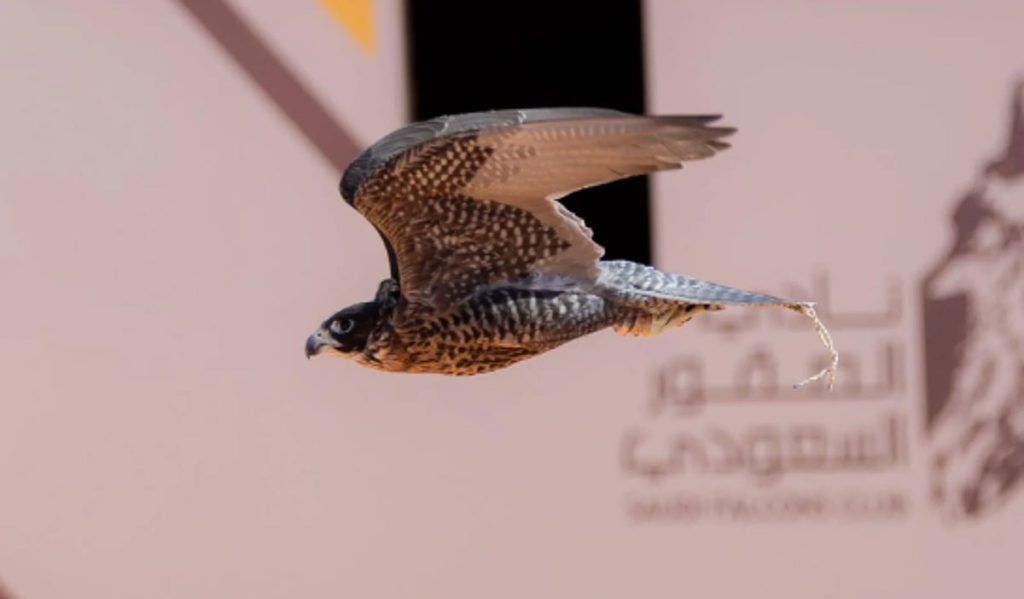 ajel2F2026 01 052Fn428duhb2FCapture