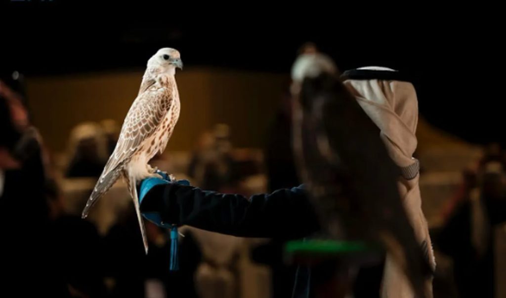 ajel2F2026 01 072F7wqzzqk42FCapture