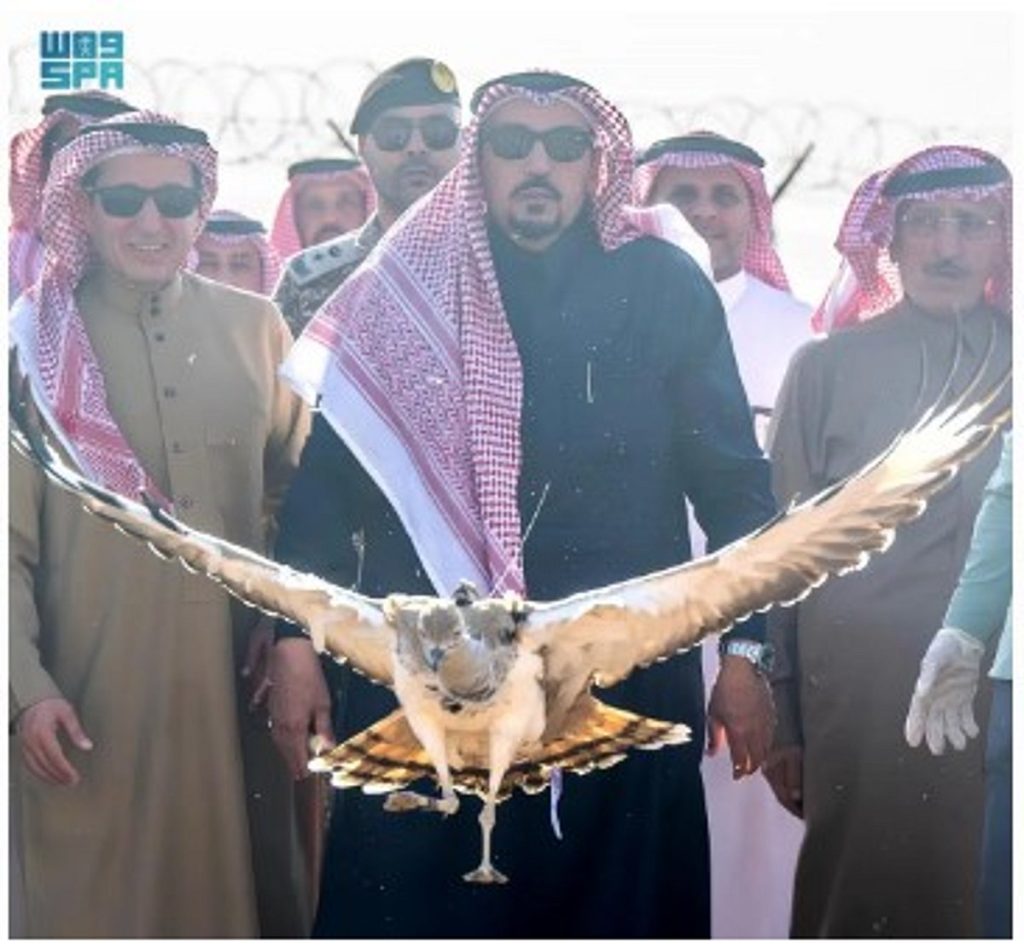 ajel2F2026 01 072Fhh294mq62FD8A3D985D98AD8B1 D8A7D984D982D8B5D98AD985