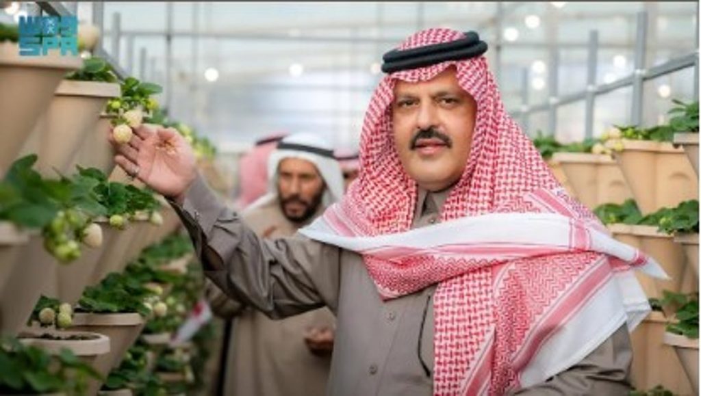 ajel2F2026 01 072Fn1g1piku2FD8A3D985D98AD8B1 D8ADD8A7D8A6D984