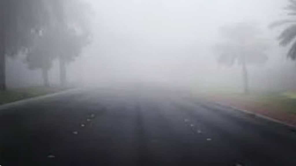 الأرصاد: ضباب بـ 3 مناطق حتى صباح الخميس ajel2F2026 01 072Fnkvysin92F7777070770770.avif