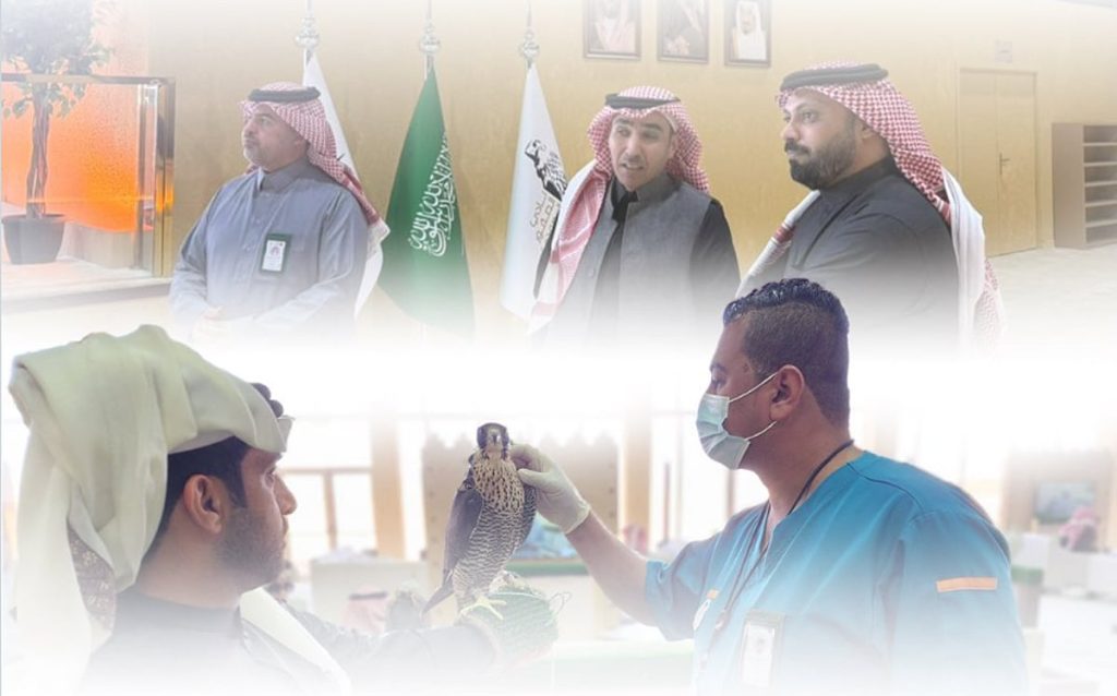 ajel2F2026 01 082F3tvl6pds2FScreenshot 2026 01 08 110253