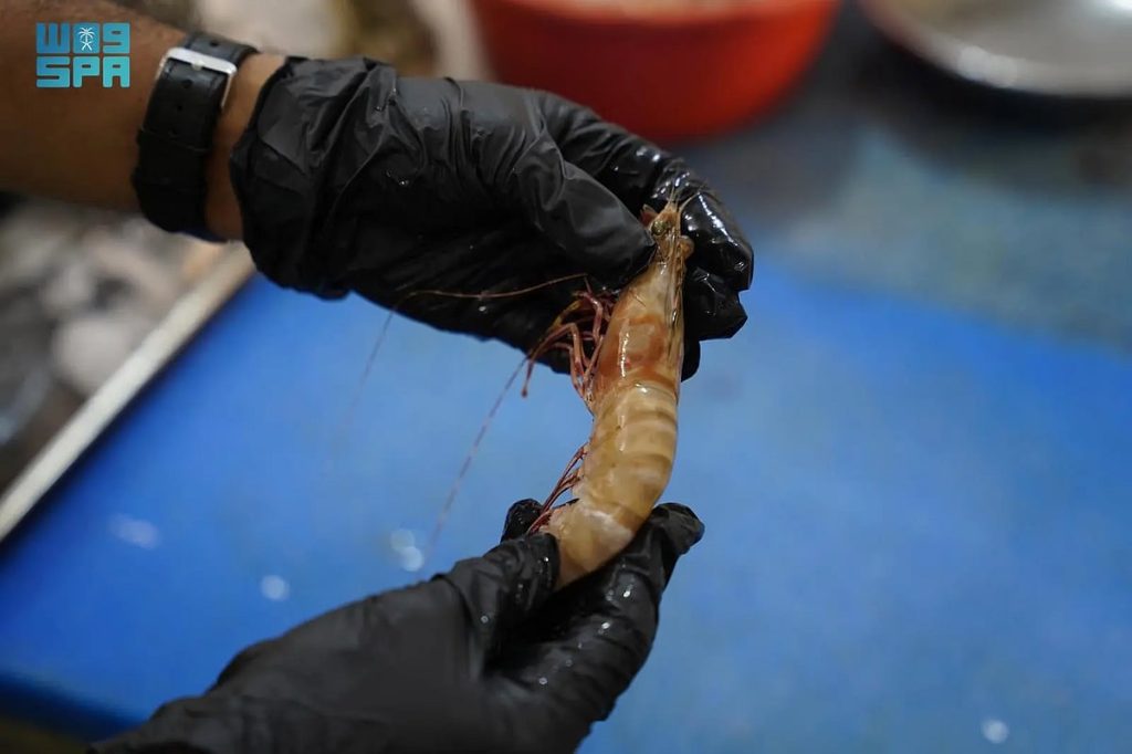 ajel2F2026 01 082Fl86rk7lk2FXqcLCmWvtAddMNHtauBVkDacu7rJRlhcSY1Vug9y.webp