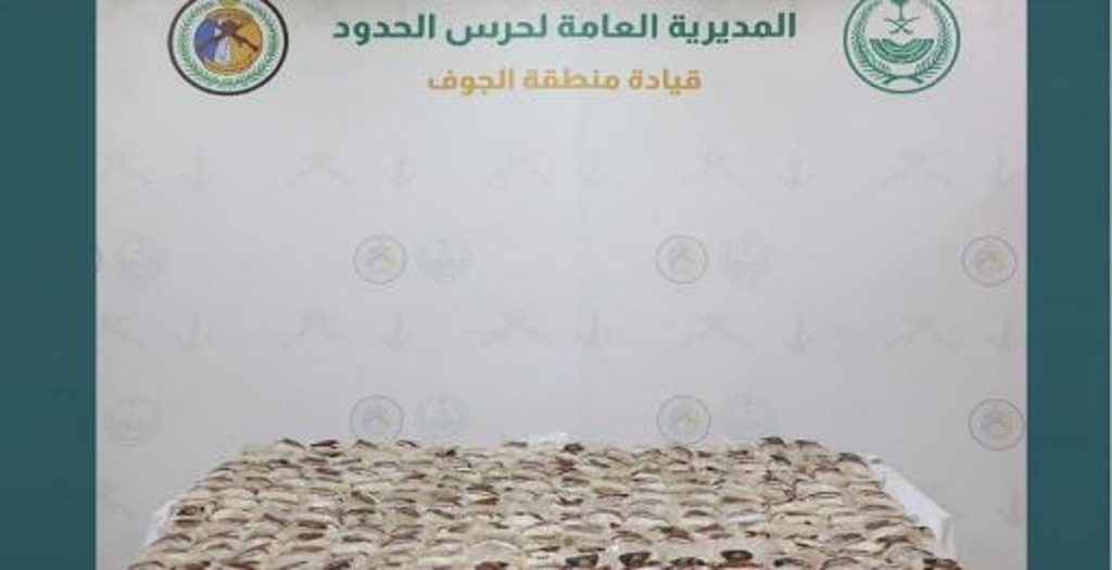 ajel2F2026 01 092F7cuflqxr2FCapture