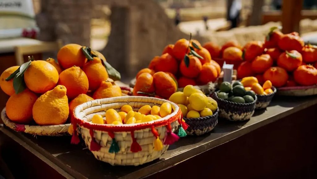 «موسم العُلا للحمضيات» يشهد إقبالًا متزايدًا تزامنًا مع إجازة منتصف العام الدراسي ajel2F2026 01 092Fag0pz2je2FIMG20260109203148