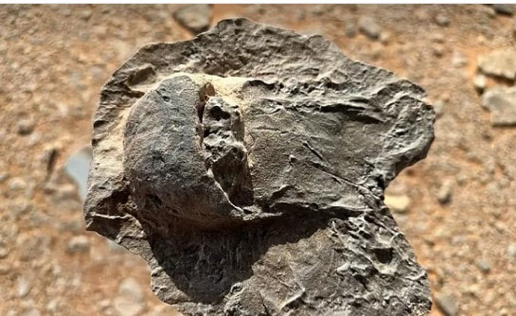 ajel2F2026 01 092Fz0dc060j2FD8ADD981D8B1D98AD8A7D8AA