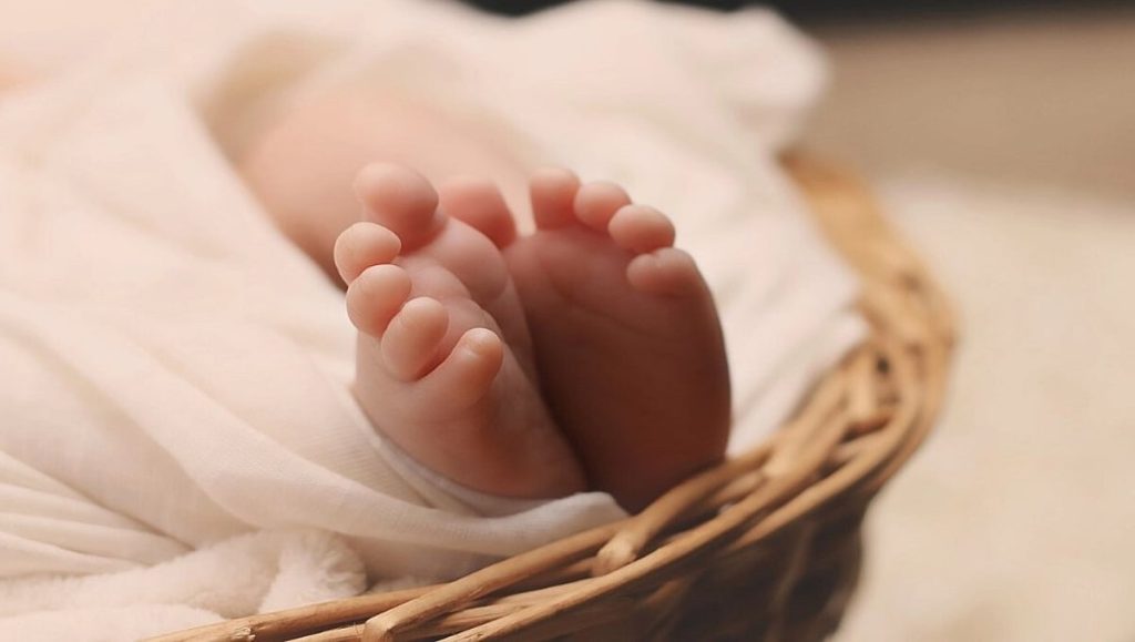 ajel2F2026 01 102Fndyn2vhb2FIMG 20240824 WA0070