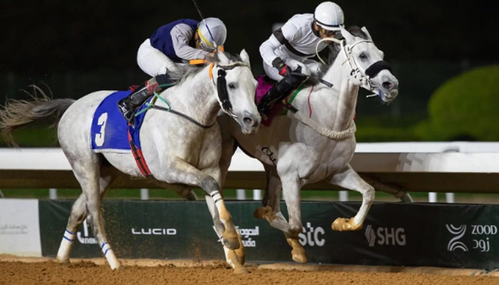 منافسة قوية في سباقات مهرجان الأمير سلطان بن عبدالعزيز العالمي للجواد العربي ajel2F2026 01 112F387u3r6t2FCapture