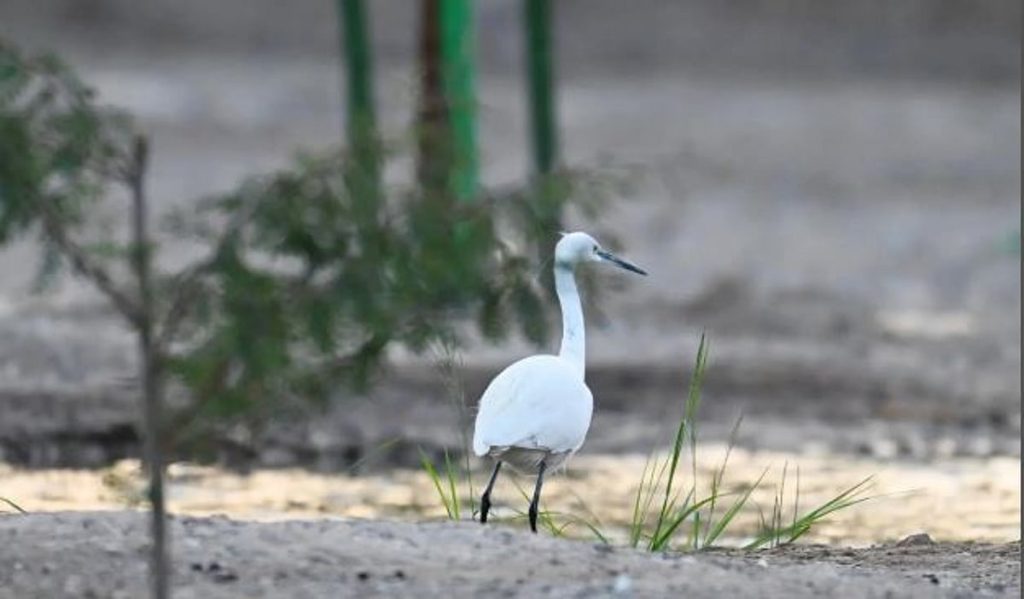 ajel2F2026 01 112Fc8zoeyv12FCapture