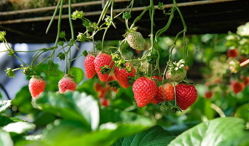 ajel2F2026 01 112Fce8zovqi2FD981D8B1.avif