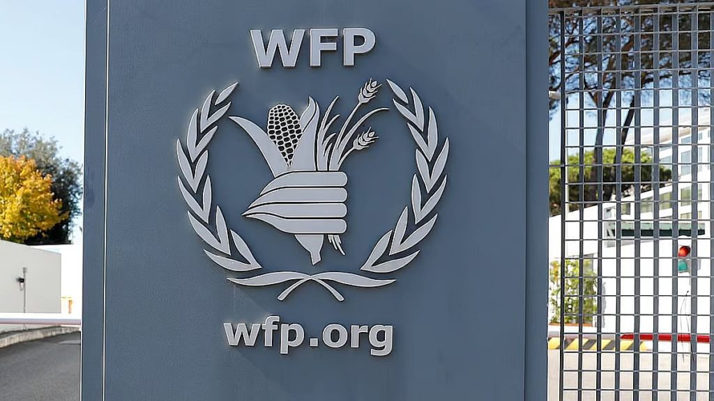 ajel2F2026 01 132F4dbi76l12Fajel2025 07 2768ydz99aajel2022 06073d7f44 8c40 4f13 82da 8f4ad3f118f4