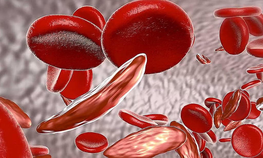 ajel2F2026 01 132Fthrd87q52Fajel2025 11 02z03nrrhjajel2025 10 19n4m8f35xajel2024 071d369534 fabb