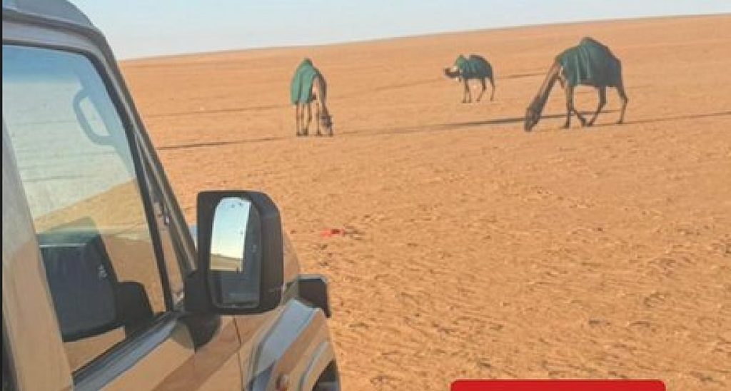 ajel2F2026 01 142Fl3h1lgtf2FScreenshot 2026 01 14 110552