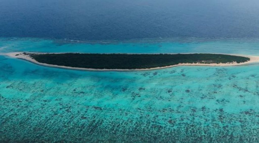 ajel2F2026 01 172Fuj9wxz702FCapture