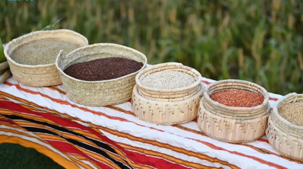 ajel2F2026 01 182F85r0ecb92FCapture