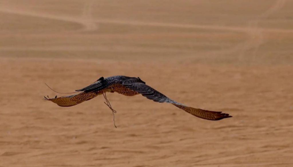 ajel2F2026 01 182Fan6n47832FCapture