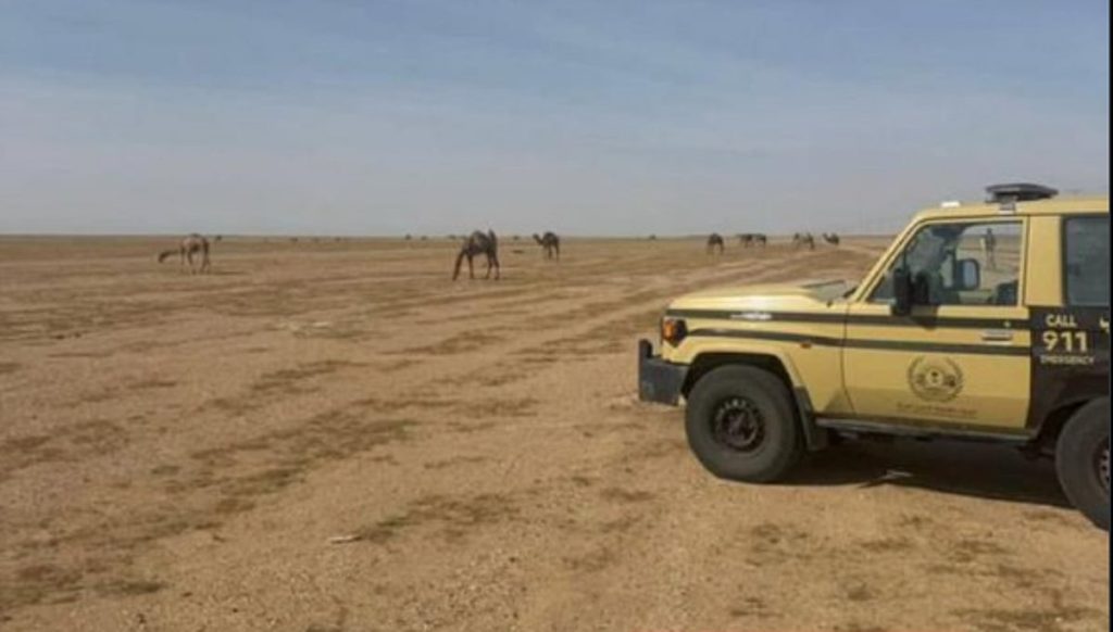 ajel2F2026 01 192Facmdnuo82FD985D985D986D986