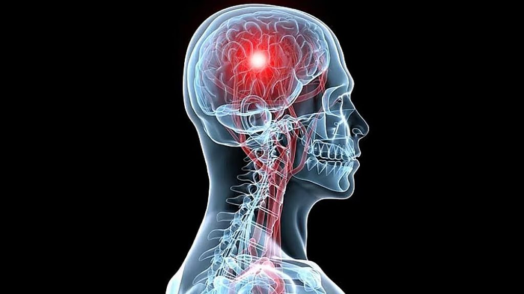 ajel2F2026 01 192Foyx2kmxk2Fajel2023 10a15f1ead 0b56 4926 b10d 6a472a224c94ajel20221027f01d749871