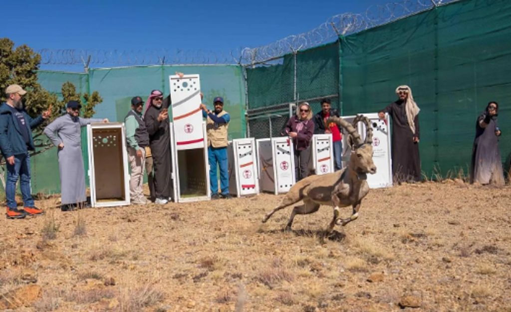 ajel2F2026 01 212Fxbwrg4eo2FCapture