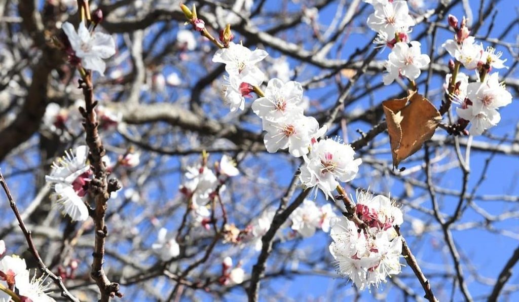 ajel2F2026 01 232Fyu8a6z4x2FIMG20260123181346