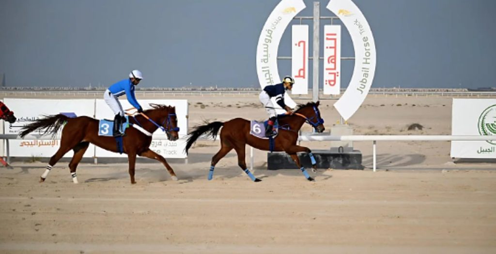 ajel2F2026 01 242F67ows90e2FCapture