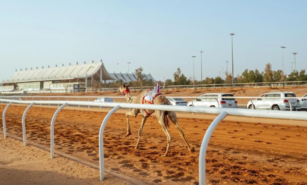 اليوم.. تتويج أبطال كؤوس مهرجان خادم الحرمين الشريفين للهجن لفئة «اللقايا» ajel2F2026 01 252Frud4b1qj2FCapture