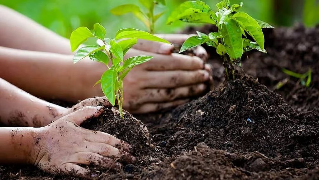 الإرشاد الزراعي يوضح طرق حماية النباتات من الإجهاد بالشتاء ajel2F2026 01 262Fk5j2o8pm2FD8B4D8AAD8A7.avif