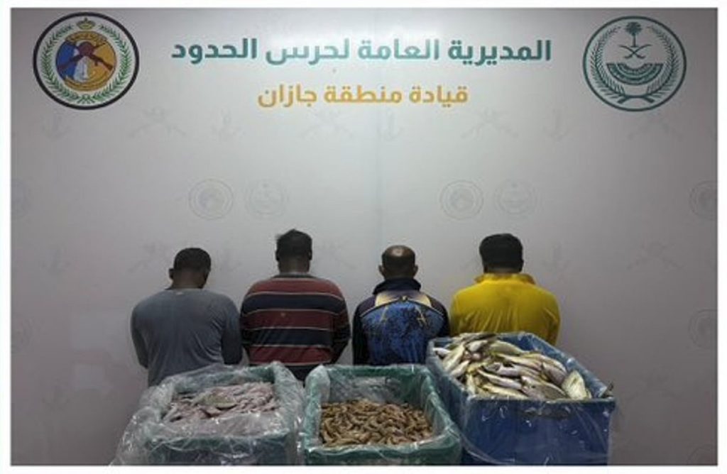 ajel2F2026 01 262Fqyisd54e2F1000480621