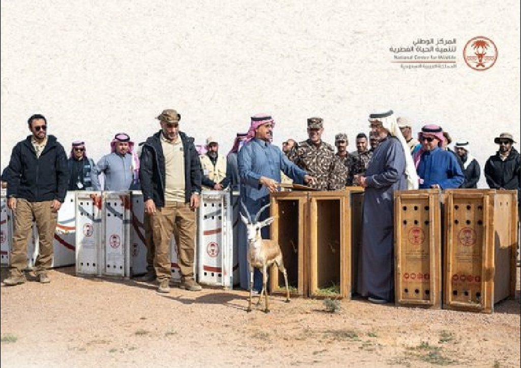 ajel2F2026 01 272F5yxd39b42FScreenshot 2026 01 27 151550