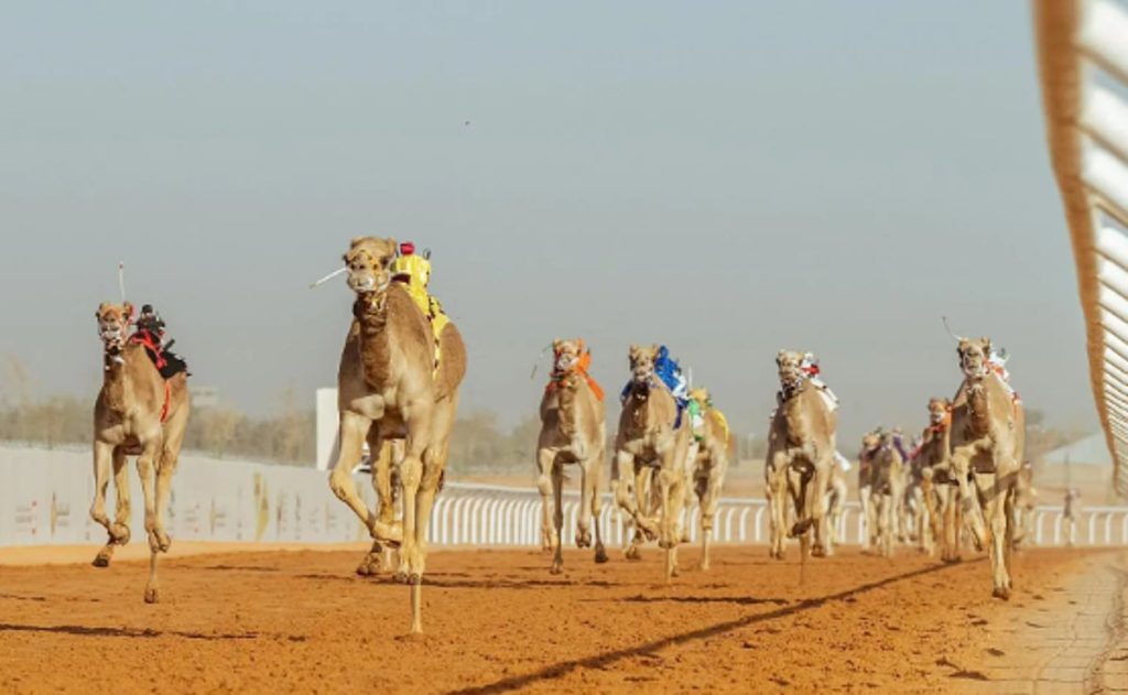 ajel2F2026 01 272Fzprvixgl2FCapture