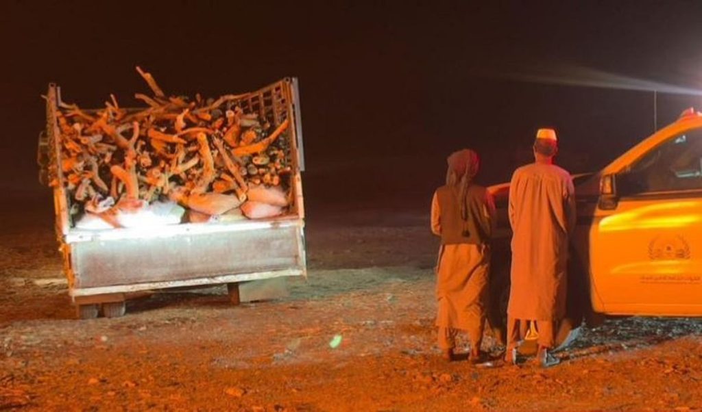 ajel2F2026 01 282Flm231kgt2FCapture