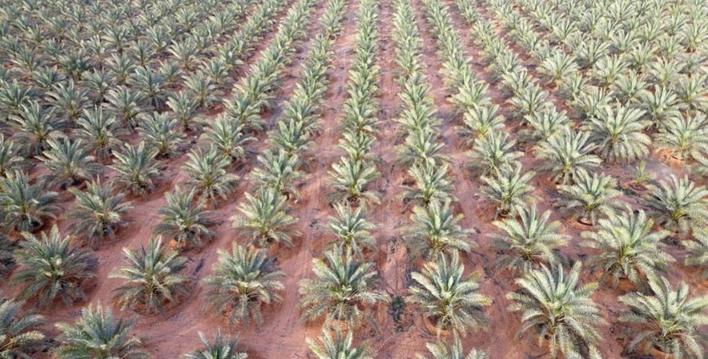 ajel2F2026 01 302Fjdnjc0732FIMG20260130172648