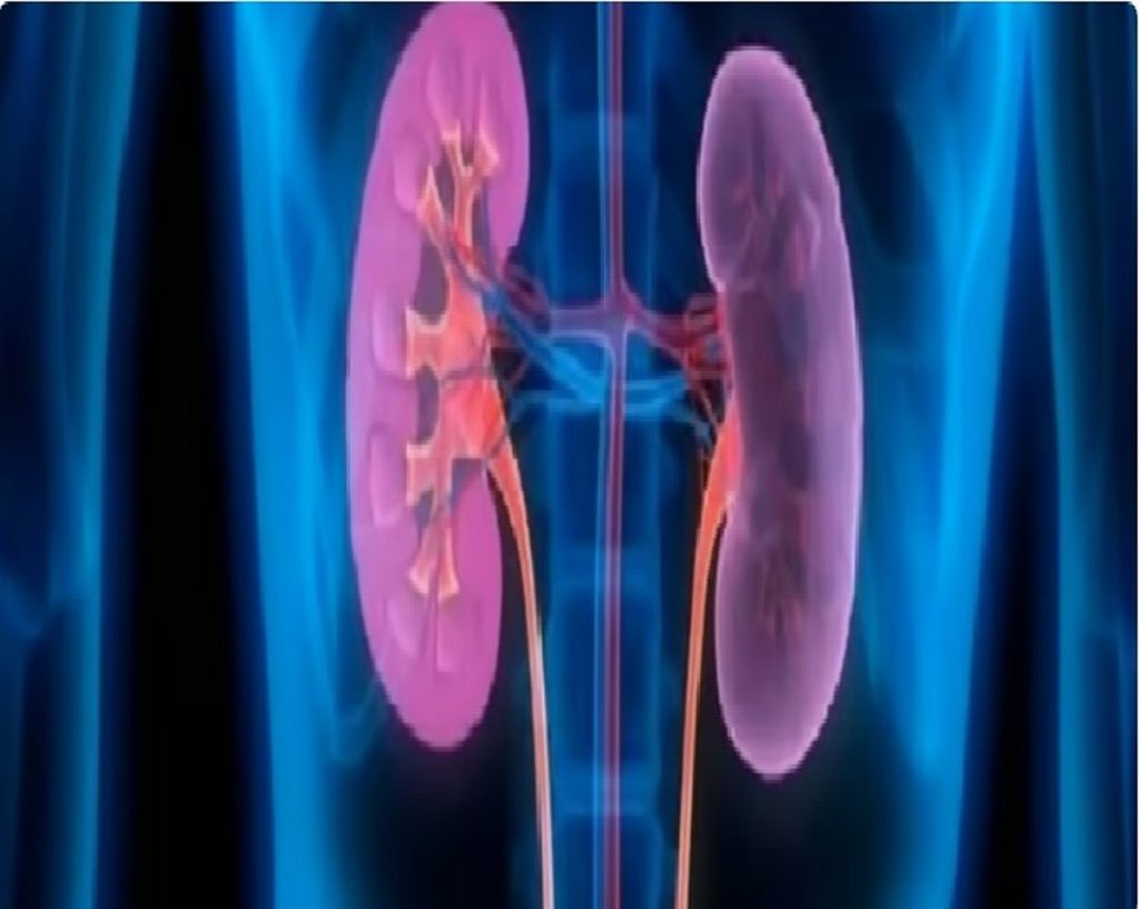 استشاري: يمكن تحسين وظائف الكلى في الكثير من الحالات ajel2F2026 01 312Fbmdk72b72FD8A7D984D983D984D98AD8AAD98AD986