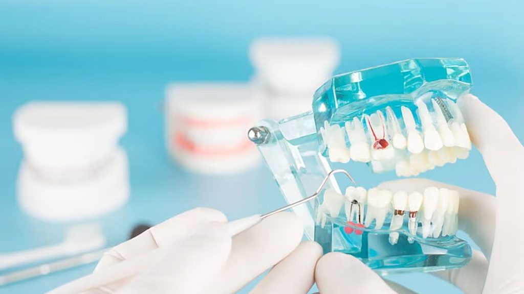 مختص: رفع نسب التوطين بمهن طب الأسنان يقلل الاعتماد على الاستقدام ajel2F2026 01 312Frjxo29r22FD8B3D986.avif