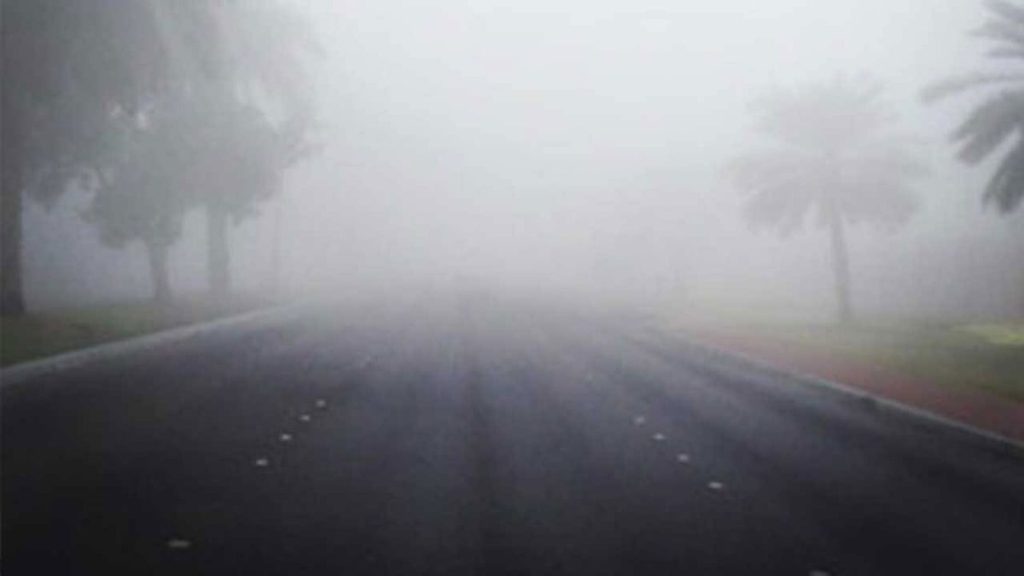 ajel2Fimport2F61c62fa6d063b103404995912F61c62f9fa1b73