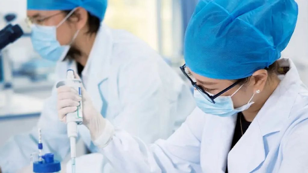 ajel2Fimport2Fuploads2Fmaterial file2F60eac77e27b72a6df446ae852F60eac76fe69b1