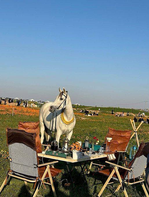 c133cd6b 583f 4c39 8dc3 9cd0fef48257