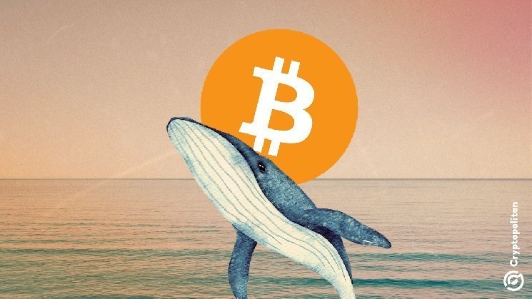 تنخفض صعوبة تعدين البيتكوين في أول تعديل لعام 2026 d862922651543bb5a4525dd03cf542cc5e82f960.webp