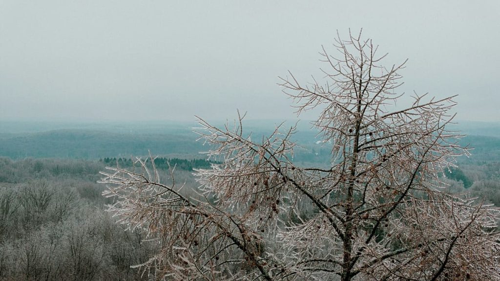 1200x675 cmsv2 173e69d6 6d69 5c4d b42d 7634c50c9a15 9644440