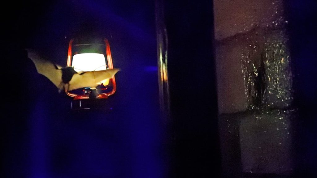 1200x675 cmsv2 a2abbb88 8c08 5869 b164 65621b5323e6 9644469