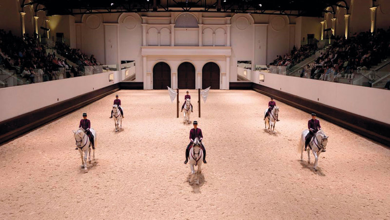 «فنون الفروسية الأميرية» تحتفي بالسنة الصينية الجديدة 1771204672 image