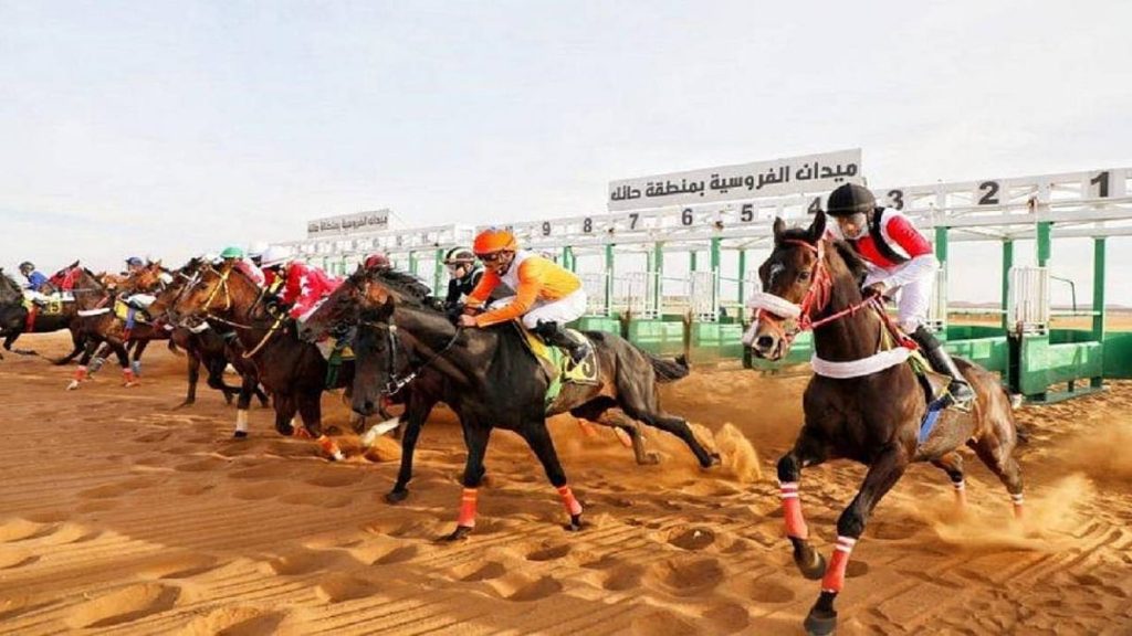 ajel2F2022 012F55302066 dae3 46b1 9435 1ef0778d45992F 6