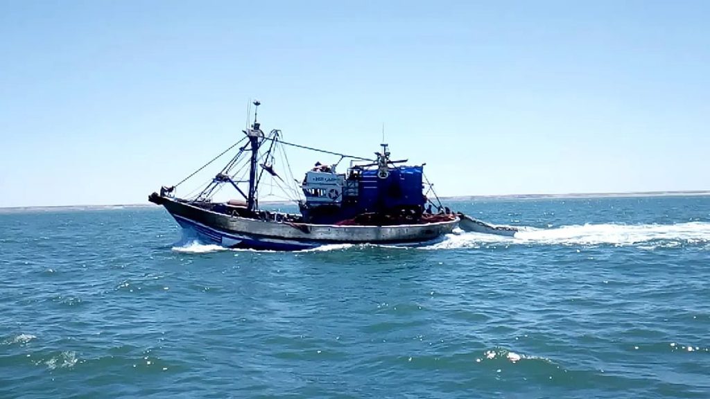 ajel2F2023 032Fee5c3811 dc86 4e62 9d6b 861fd9ce916f2F1166a84e 2f4a 4326 9fe4 5b0d663ed713.webp