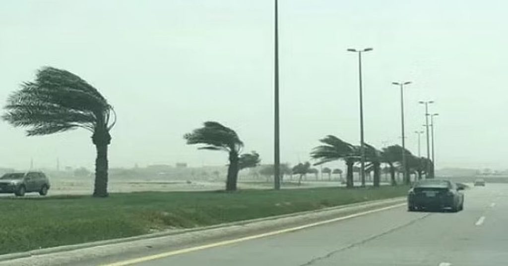 ajel2F2024 062Fd78211d6 b2ff 4ad2 aa31 e4612874257d2Fajel 2024 05 f3f99f05 a873 4db6 b4c6 9ad393f