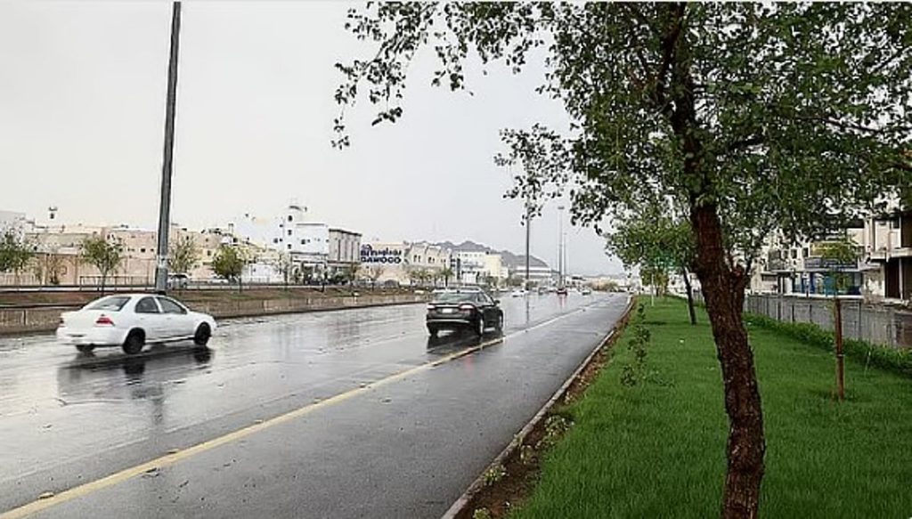 ajel2F2026 02 012F0jf6w2t22FD8A3D985D8B7D8A7D8B1 2