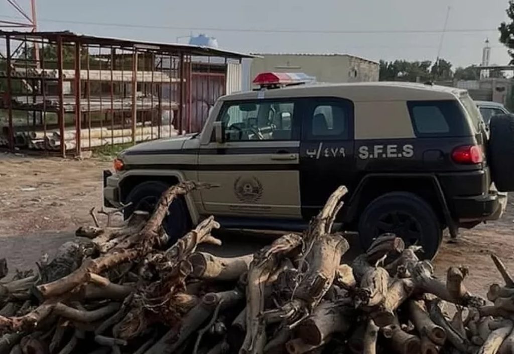 “الأمن البيئي” يضبط مخالفًا لنظام البيئة لاستغلاله الرواسب في منطقة المدينة المنورة ajel2F2026 02 022F1nrviogr2F5 682.webp